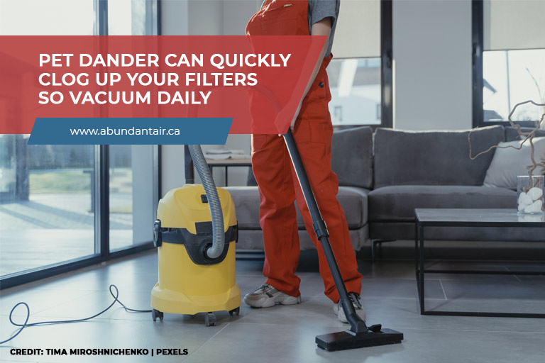 Pet dander can quickly clog up your filters so vacuum daily